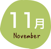 11月